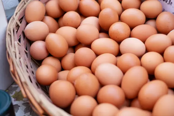 produccion de huevos